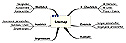 Sitemap als Mindmap