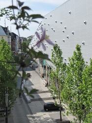 Sonntagsblick aus dem Unperfekthaus